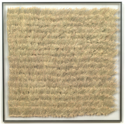 [Click to enlarge image]